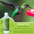 Nectar Defender Natural Hummingbird Nectar Extender Fresh Feeder