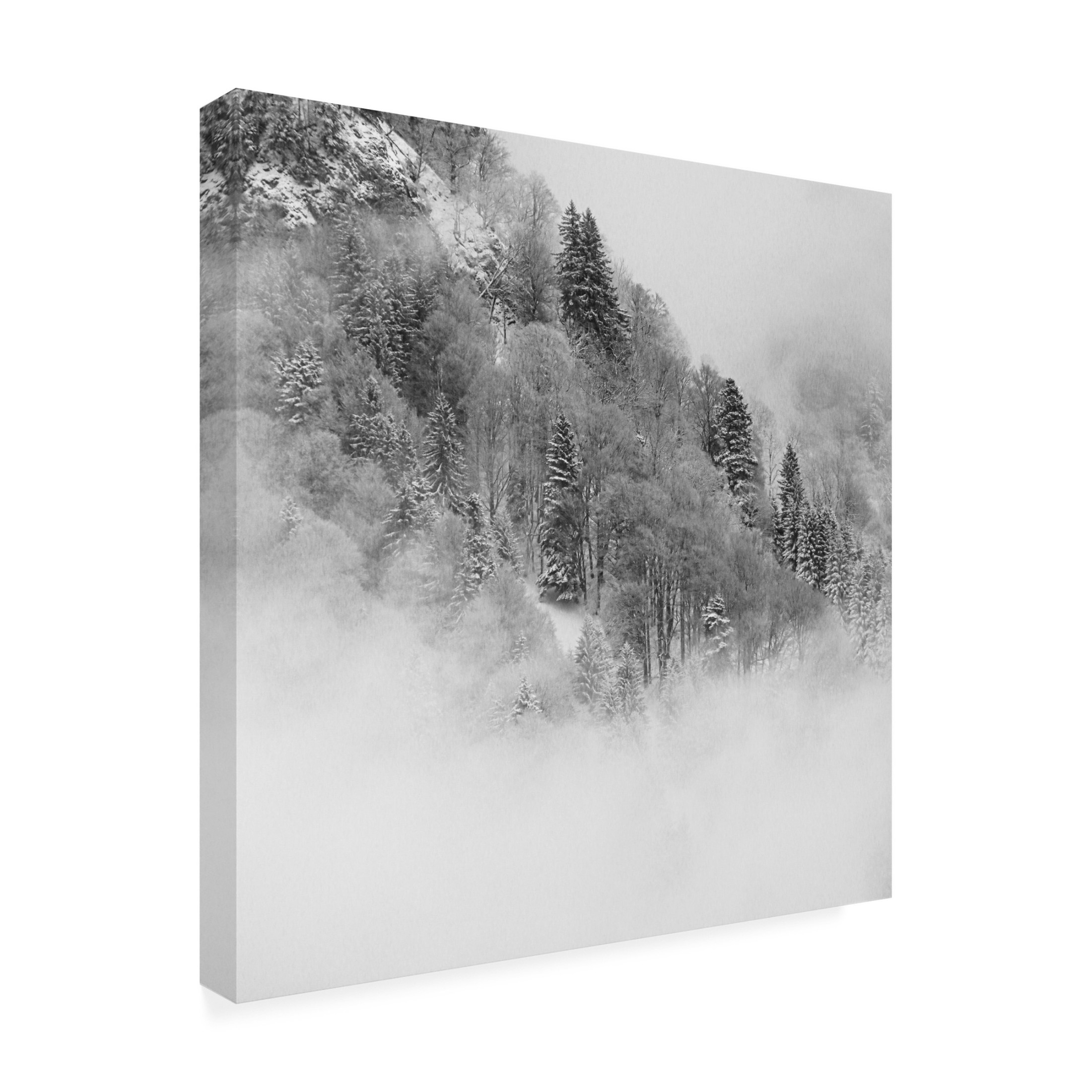 Trademark Fine Art Renate Wasinger The Foggy Mountain Canvas Wall Art