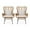 Light Brown, Black, Beige, variant on Gloria Indoor Wicker Club Chairs with Cushions (Set of 2)