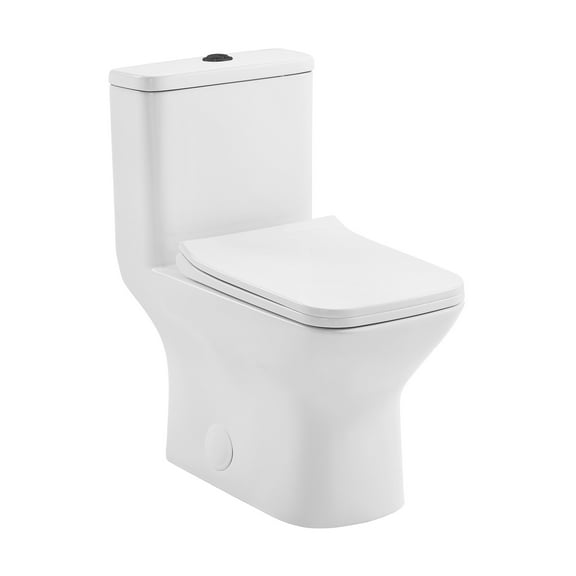Charme One Piece Square Toilet Dual Flush, Black Hardware