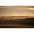 thumbnail image 2 of Trees scattered over the hills in the fog at sunset;Dumfries and galloway scotland Poster Print, 2 of 4
