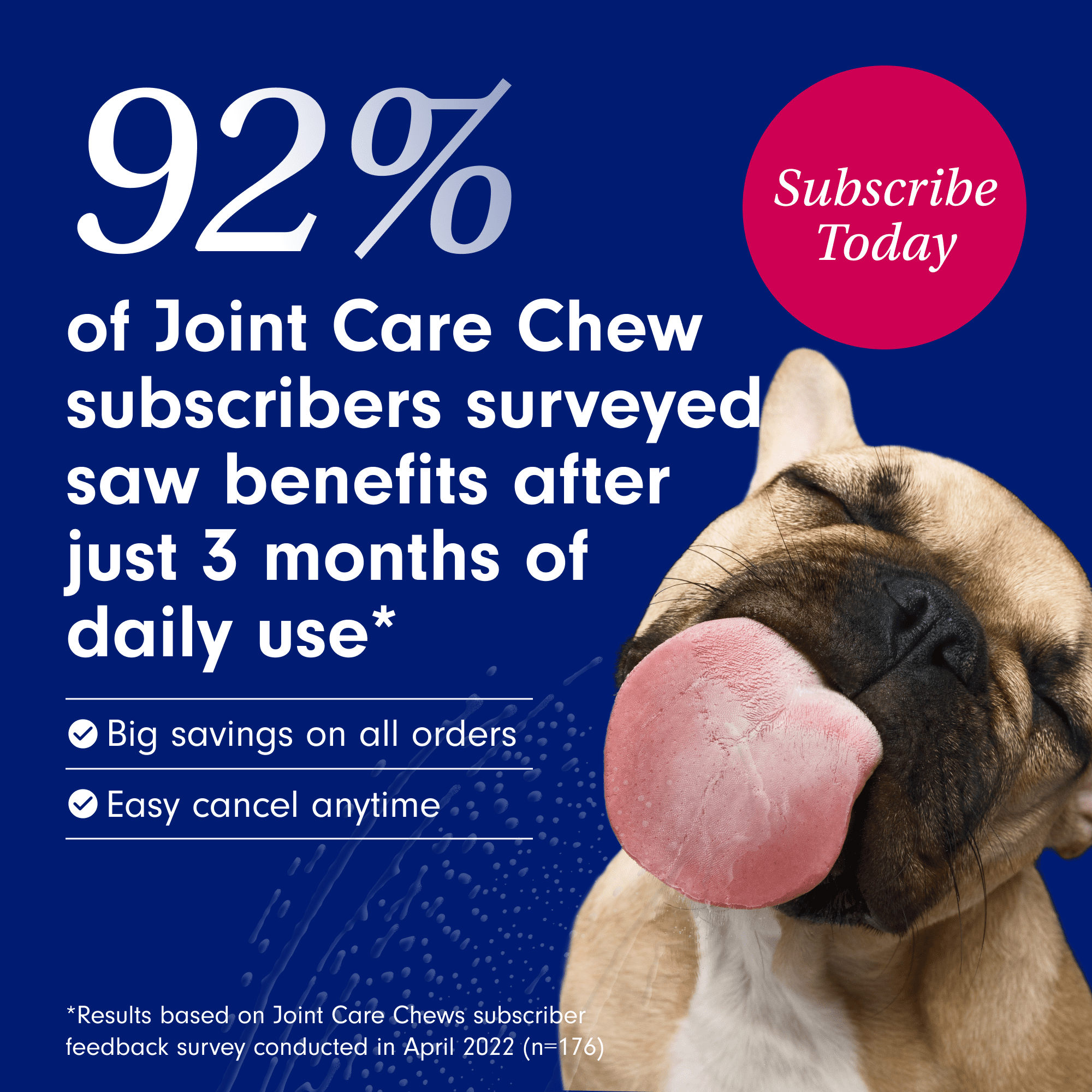 Pet lab co joint care 2025