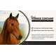 thumbnail image 2 of Pasta para caballos CLENVIA 1.87% sabor manzana 6.08 g, paquete de 4, 2 of 6