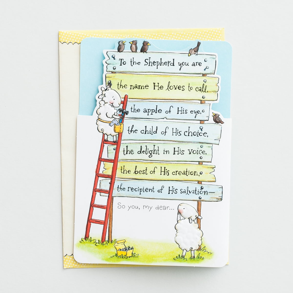 DaySpring, Really Woolly, Encouragement, Forever His, 4 Premium Cards