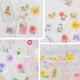 thumbnail image 2 of Marcadores de flores secas transparentes, marcapáginas de flores secas, marcapáginas transparentes de bricolaje para flores secas, fabricante de marcapáginas de plantas de flores, 2 of 5