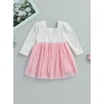 thumbnail image 4 of GXFC Toddler Girls Mesh Tulle Princess Dress 6M 12M 18M 2T 3T 4T Kids Girls Long Sleeve Flower Decor Dress Children Girls A-line Dress for Birthday Party ,Spring Fall, 4 of 8