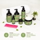 thumbnail image 4 of Acondicionador Mielle Organics, fortalecimiento de menta y romero, 355 ml, 4 of 4