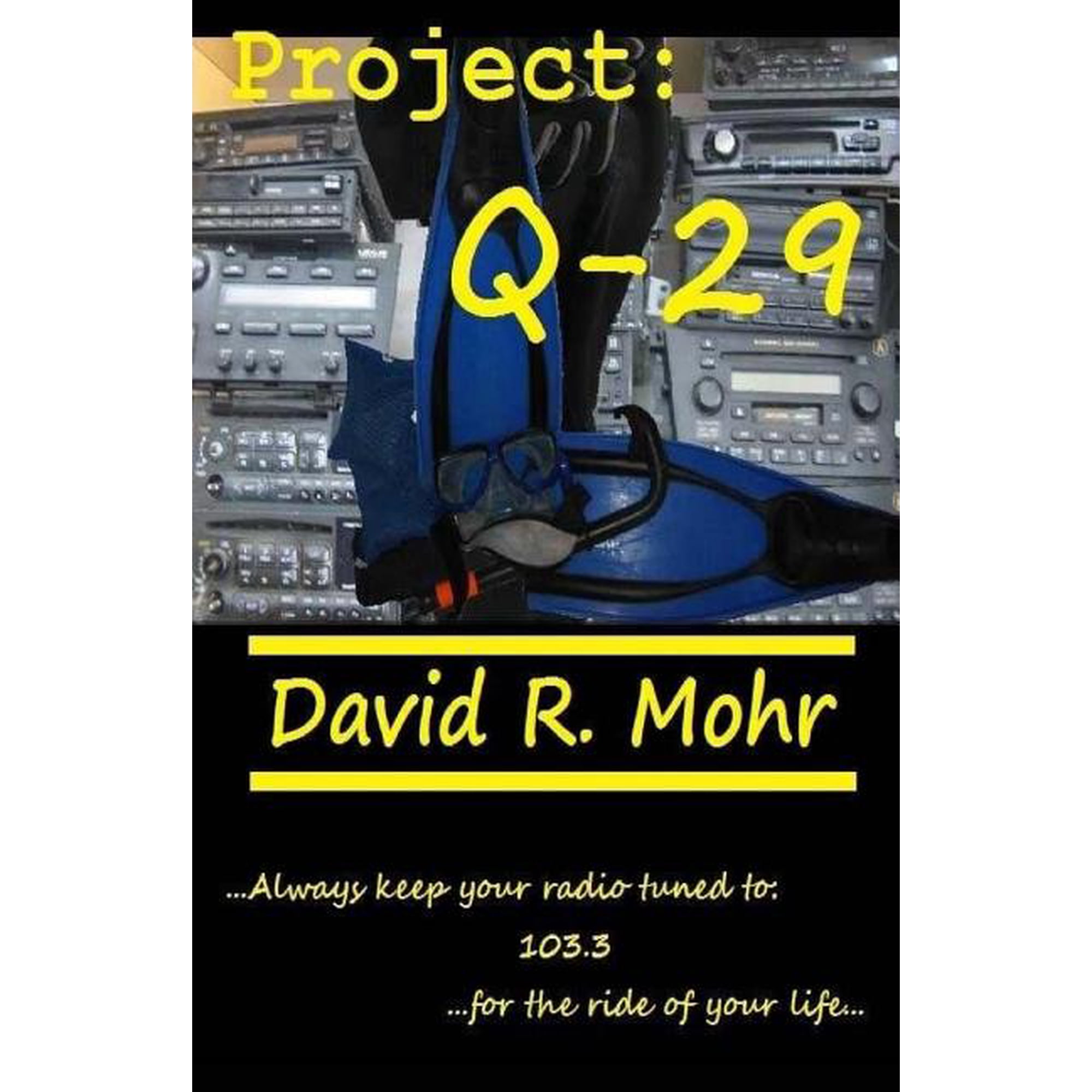 Project : Q-29 (Paperback)