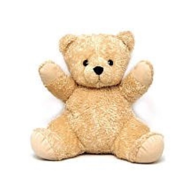 teddy bear with womb sounds