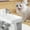 White, variant on Littleplum Cat/Dog Water Fountain,Automatic Pet Drinking Fountain,Unplugged Wireless Sensor Pet Intelligent Drinking Water Dispenser Automatic Circulation No Wet Mouth Flowes,Silver