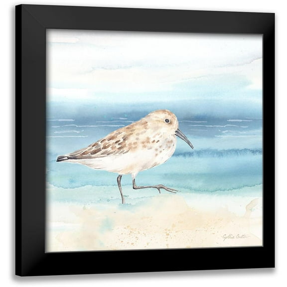Coulter, Cynthia 12x12 Black Modern Framed Museum Art Print Titled - By the Seashore XIII