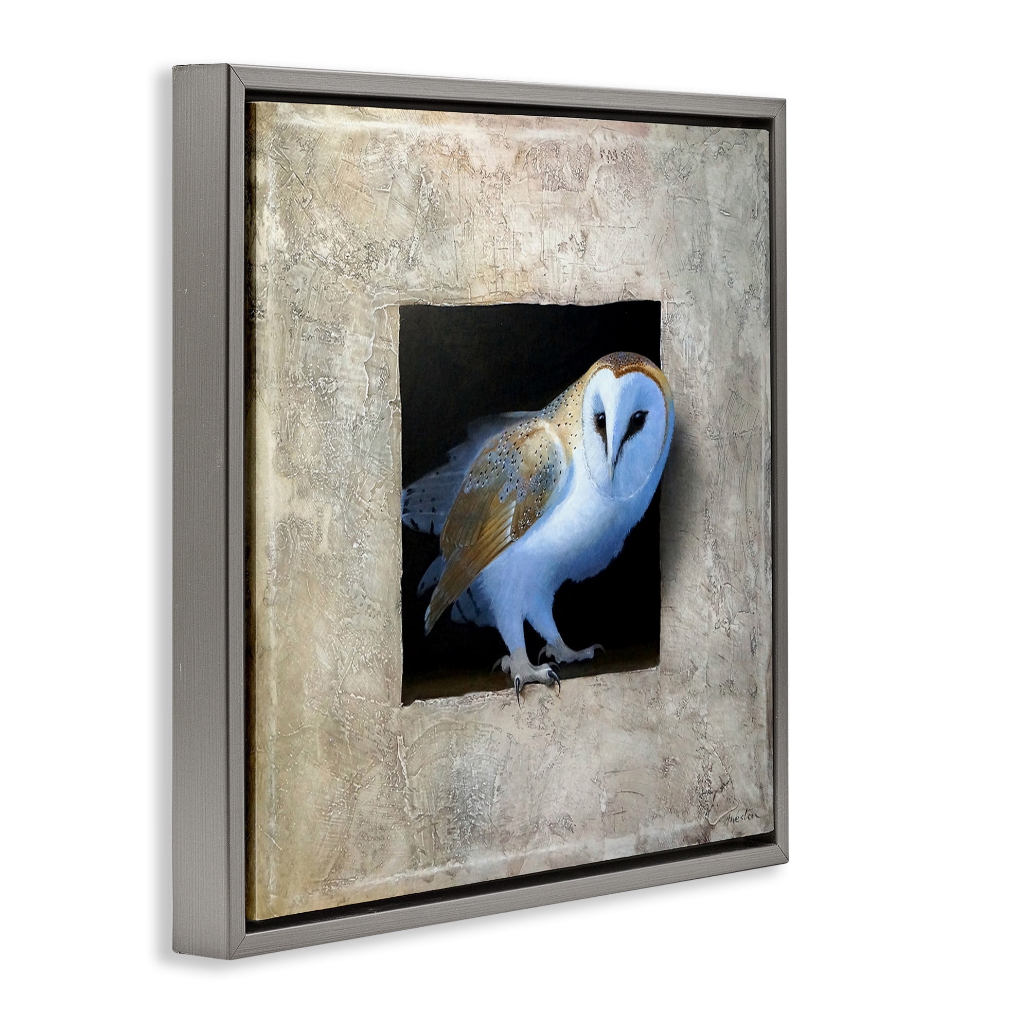 Stupell Industries Mysterious Barn Owl Peering Animals & Insects Painting Gray Floater Framed Canvas Art Print Wall Art, 25 x 25