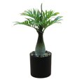 thumbnail image 2 of sunsanly Artificial Bonsai Tree with Light USB Powered Desk Potted Tree Realistic Greenery Fake Green Plant for Office Home Decor, 2 of 8