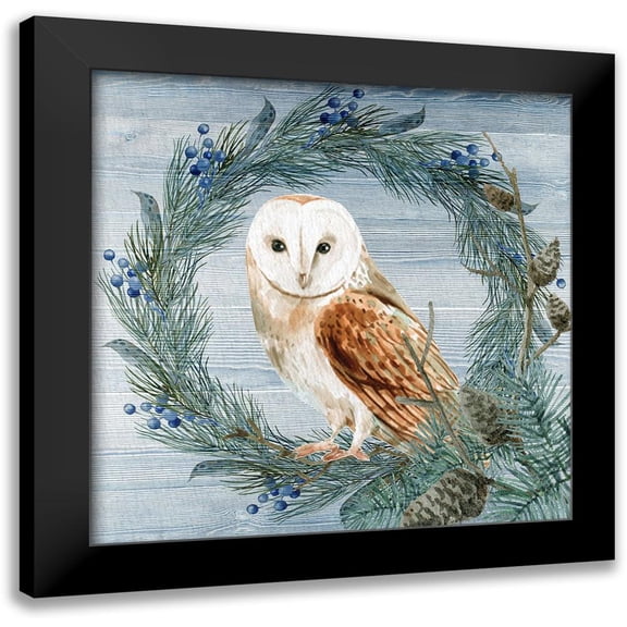 Allen, Kimberly 12x12 Black Modern Framed Museum Art Print Titled - Winter Owl Blues 1