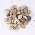 thumbnail image 4 of EeaseCA 50PCS Children's Drawing Painted Rocks Stones Cartoon Creative Stones Hand-painted DIY Polishing Pebbles - 1-3cm (Mixed Color), 4 of 6