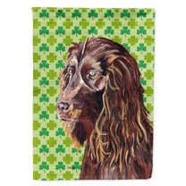 Boykin Spaniel St Patrick's Irish Flag Canvas House Size