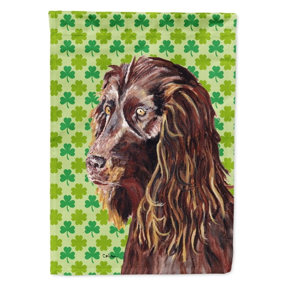 Boykin Spaniel St Patrick's Irish Flag Canvas House Size