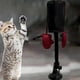 thumbnail image 3 of Methold Juguete interactivo de boxeo con ventosa para gatos, juguete activo de poliéster para gatos, diversión infinita para gatos al aire Juguetes para gatos, 3 of 6