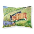 thumbnail image 1 of ""Caroline'S Treasures 7292Pillowcase Corgi Funda De Almohada Estándar De Tela Que Absorbe La Humedad, Grande, Multicolor"", 1 of 1
