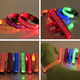 thumbnail image 5 of Arnés y Correa | Diseño de leopardo | Accesorio para pasear a tu perro, 5 of 5