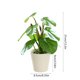 thumbnail image 3 of Artificial Potted Plants Realistic Simulation Green Plants Indoor Home Desk Bookshelf Decor Faux Greenery Decorative Houseplants for Living Room Office, 3 of 6