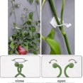 thumbnail image 3 of 100 Pieces Plant Support Hook Clip Climbing Plant Clips Invisible Plant Clips Plant Wall Mount Fixing Clip 100 Pieces Climbing Plant Support Clip, 3 of 5