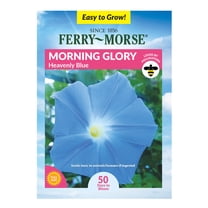 Ferry-Morse 1.1G Morning Glory Heavenly Blue Annual Flower Seeds, Full Sun