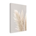 thumbnail image 4 of 1x Studio III 'Pampas Grass Grey 03' Canvas Art, 4 of 4