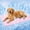 Pink, variant on ChillPaws Cooling Mat, Self-Cooling Dog Mat (Grey, L(27.55'' X 21.65'')) | Washable, Portable, Non-slip, Waterproof for Car, Floors, Bed, Sofas, Kennels, Indoor & Outdoor