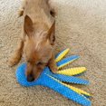 thumbnail image 2 of 5-Pack Plush Toys with Squeaks and Crinkles for Small to Medium Dog Chew Toys, 2 of 5