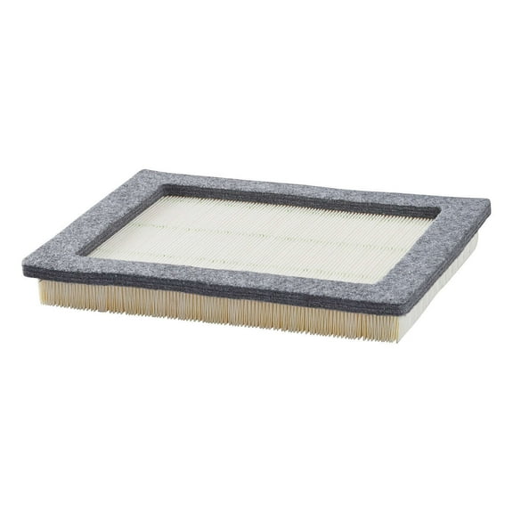 CARQUEST Standard Air Filter