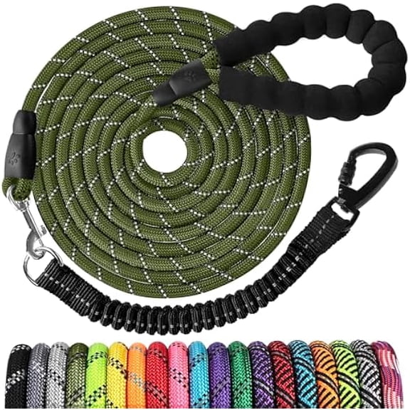 Eryueer Long Dog Leash 10FT: Heavy Duty Nylon Rope Leashes for Dogs Training with Reflective Threads Bungee and Padded Handle - Dog Lead for Large Small Medium Dogs Outside Walking Hiking