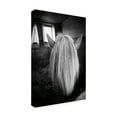 thumbnail image 2 of Trademark Fine Art 'Beauty II' Canvas Art by Aledanda, 2 of 3