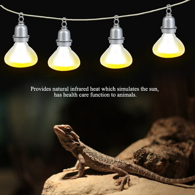 Lamp 4Types 220-230V Night Heat Light Lamp Bulb for Bird Snake Reptile Pet Amphibian