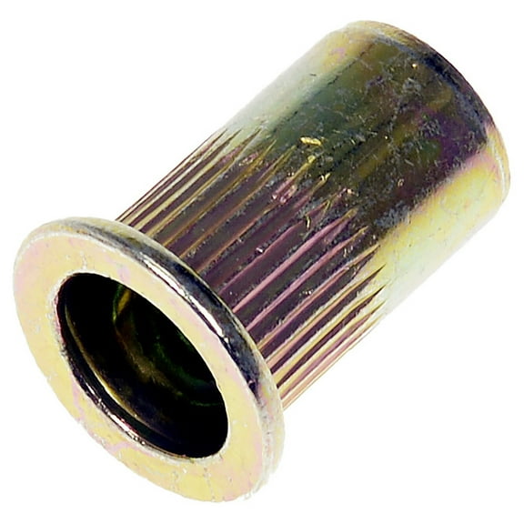 Dorman 963-252BX Rivet Nut - 5/16-18 (Pack of 20)