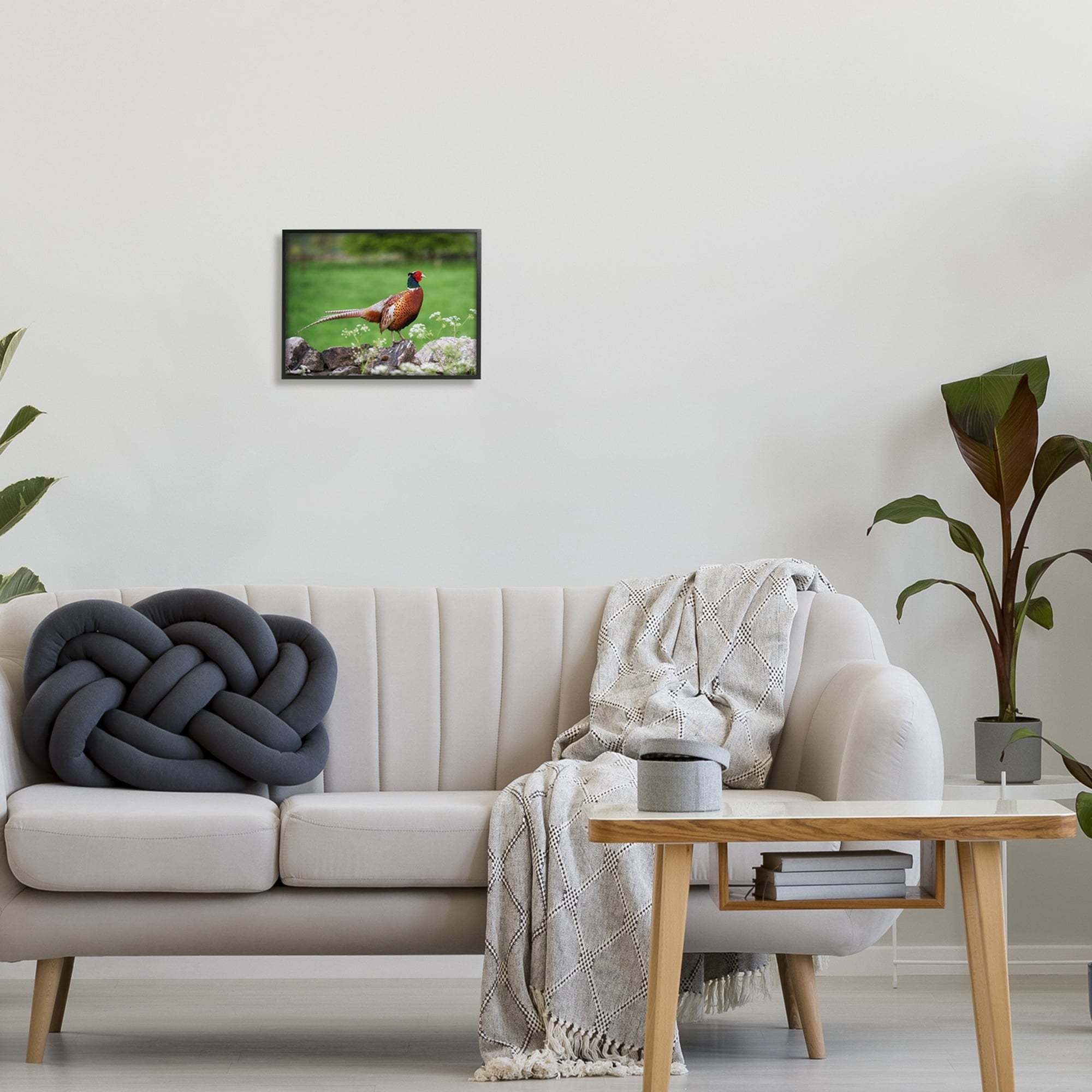 Stupell Industries Pheasant Strolling Lush Grassland Rural Nature Landscape Photograph Gray Framed Art Print Wall Art, Design by James Dobson