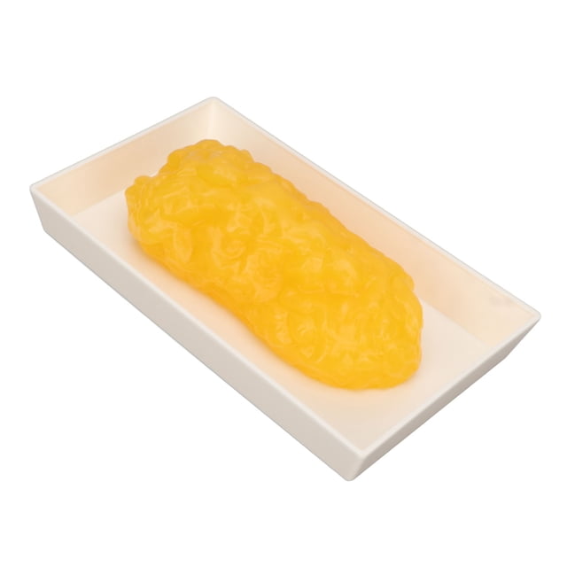Body Fat Replica, Safe Human Fatty Tissue Model Mellow 1lb For Clinics For Science Student