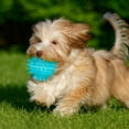 thumbnail image 4 of BotaniNest High Elastic TPR Squeaky Dog Toy For Chewing Floating Water Play And Care Perfect For Aggressive Chewers, 4 of 4