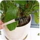thumbnail image 5 of 3 Unids / set Rastrillo de jardinería Pala de madera Mango de metal Mini herramientas para niños Jardinería Suministros de jardinería Jardinería Flores y plantas Herramientas de siembra 3 piezas TUNC Sencillez, 5 of 5