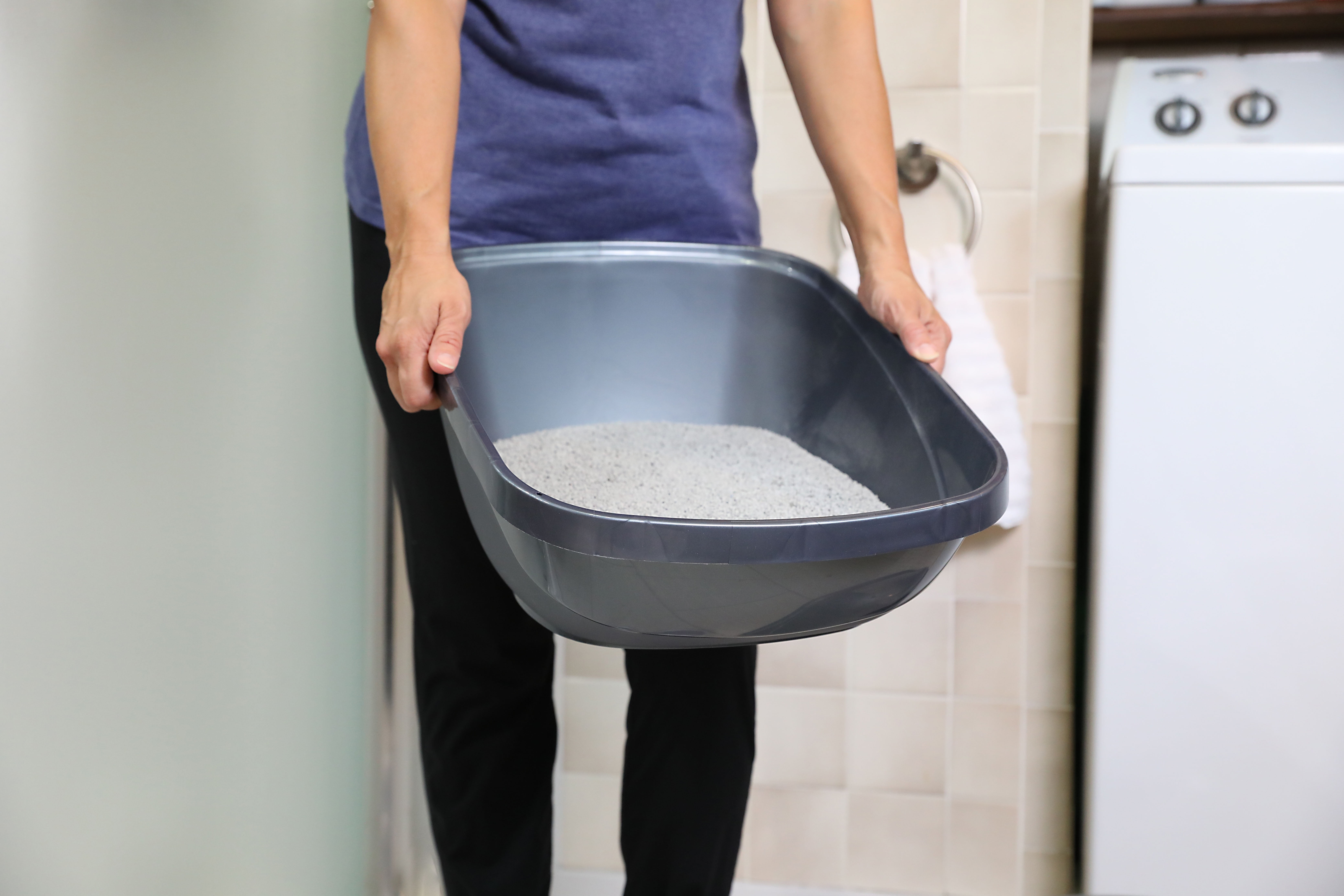 Petmate Basic Hooded Enclosed Cat Litter Pan Covered Plastic Box with Door, Large, Blue Silver