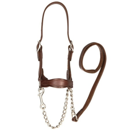Sullivan Supply Classic Leather Flat Nose Scalloped Show Halter Small Brown