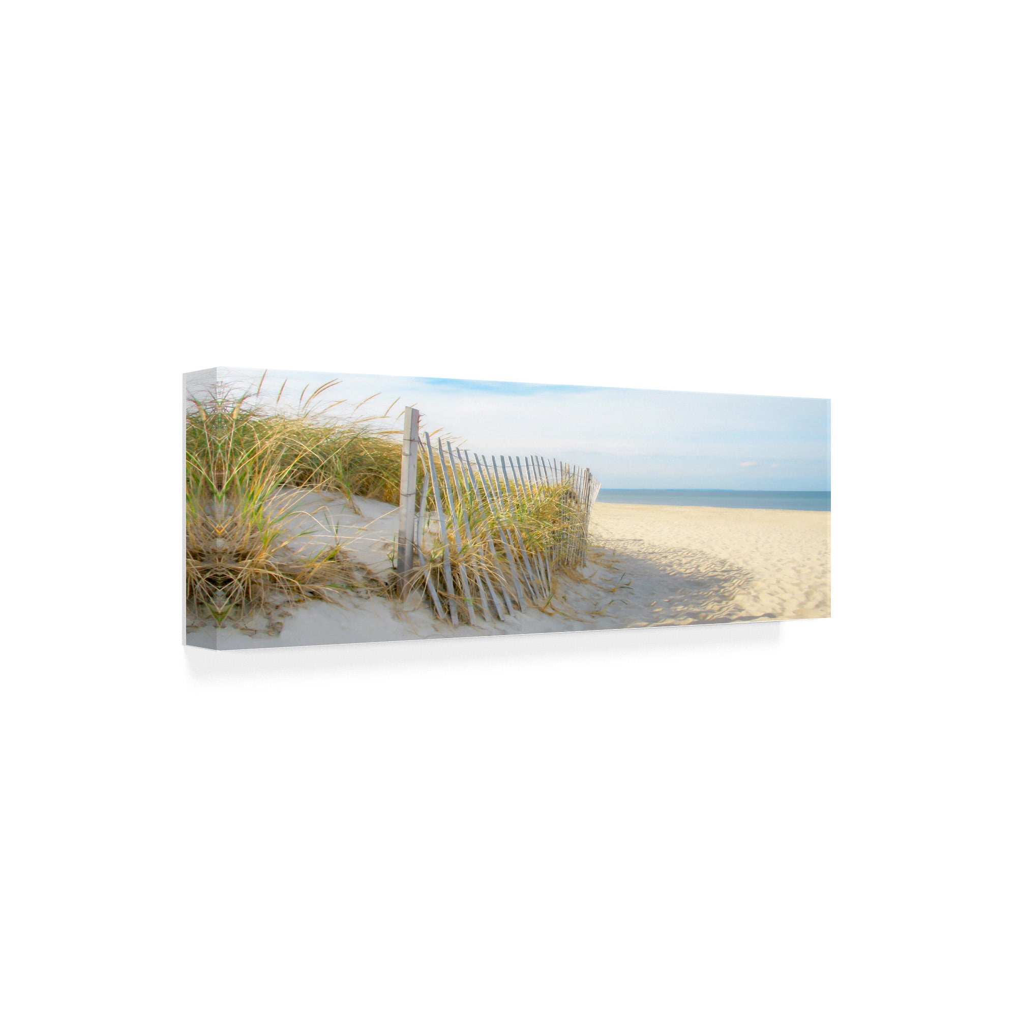 Trademark Fine Art 'Sandy Neck (panorama)' Canvas Art by Brooke T. Ryan