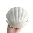thumbnail image 5 of Kids Night Light Decorative Lights Portable Shell Pearl Shape Ceramic Material, 5 of 10