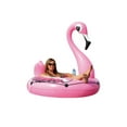 thumbnail image 1 of Pathfinder Flamingo Float, 1 of 4