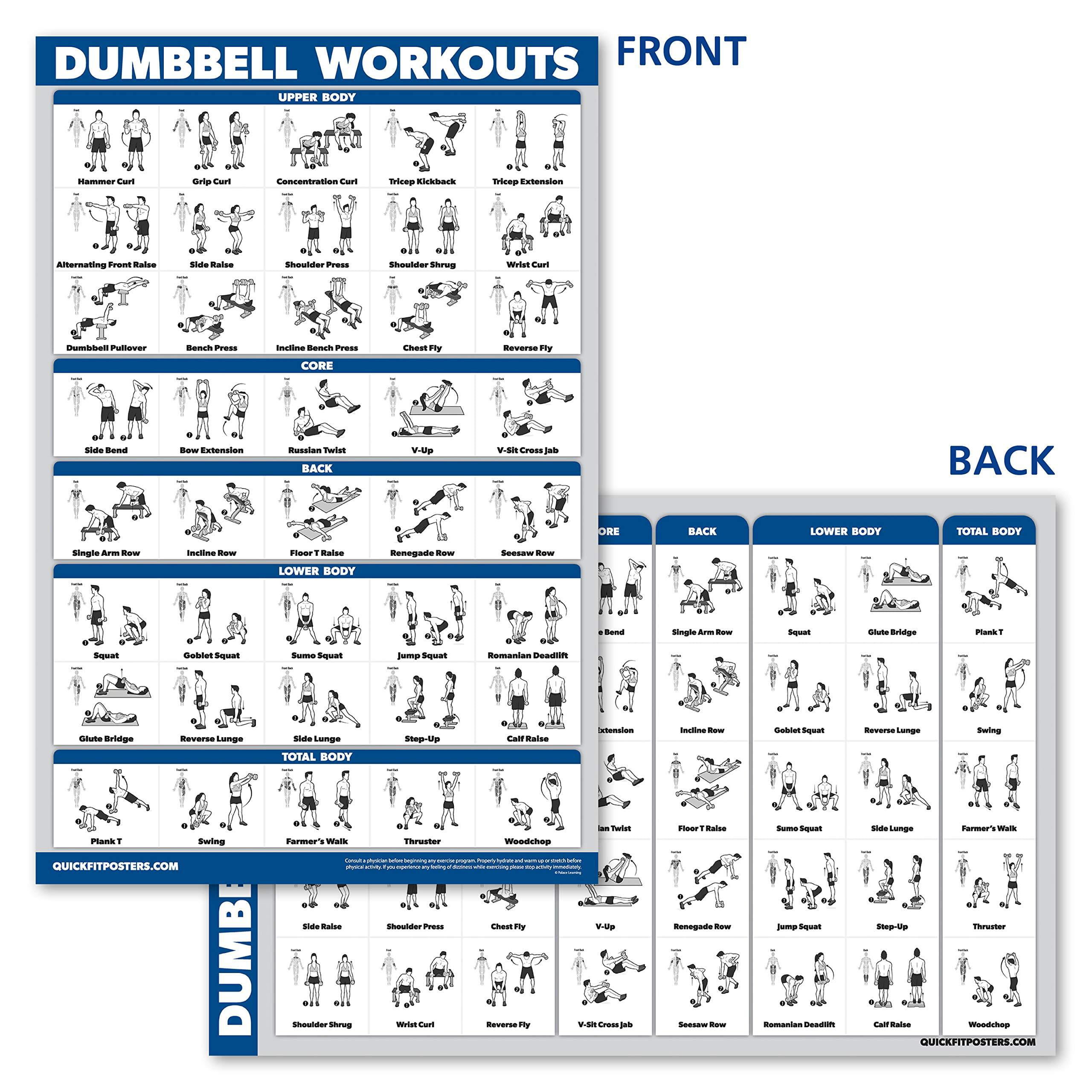 QuickFit Dumbbell Workouts and Barbell Exercise Poster Set Laminated 2 Char... 