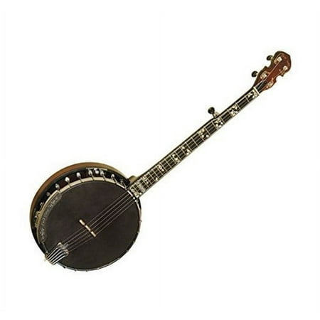 Gold Tone Bela Fleck Series Baritone Banjo w/ Case