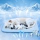 thumbnail image 1 of Nobleza Almohadilla de enfriamiento para perros Cama fría duradera para perros Estera de enfriamiento para mascotas a prueba de fugas Diseño resistente a los arañazos para perros medianos Gatos Cachor, 1 of 1