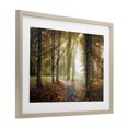 thumbnail image 3 of Stupell Industries Follow The Light Forest Path Birch Framed Print Under Glass design by Celebrate Life Gallery, 14 x 20, 3 of 10