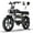 T73MAX-Black, variant on Tamobyke T73 Electric Bike for Adults, Peak 1500W 30mph 48V 15.6Ah,20" Fat Tire E-Mountain Bike UL2849
