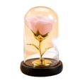 thumbnail image 2 of Eternal Rose in Glass Dome with LED Light, Romantic Night Light for Valentine's Day Gift, Illuminated Home Decoration for Bedroom and Special Occasions(Pink), 2 of 6